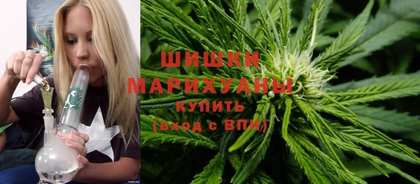 мяу мяу мука Аркадак